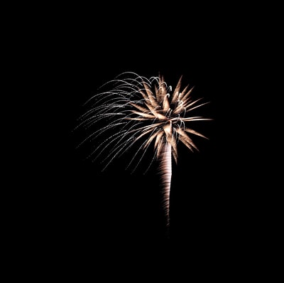 A black and white fireworks in the sky
